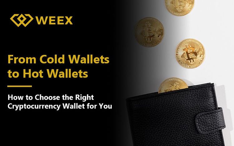 From Cold Wallets to Hot Wallets: How to Choose the Right Cryptocurrency Wallet for You?